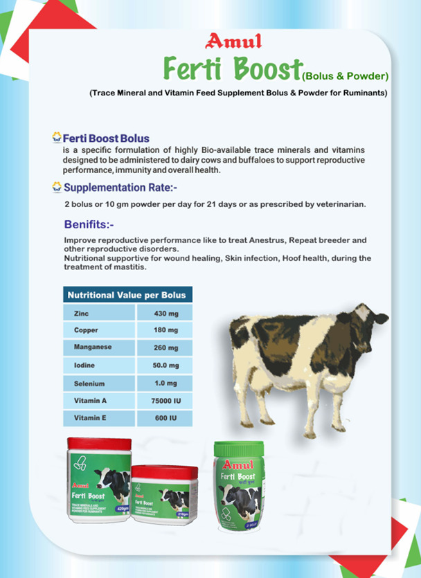 Products Amul Dairy